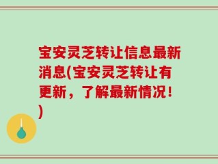 宝安灵芝转让信息最新消息(宝安灵芝转让有更新，了解最新情况！)