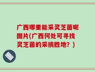 广西哪里能采灵芝菌呢图片(广西何处可寻找灵芝菌的采摘胜地？)