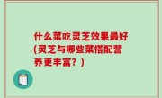 什么菜吃灵芝效果最好(灵芝与哪些菜搭配营养更丰富？)