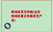 陵城区灵芝种植(山东陵城区重点发展灵芝产业)