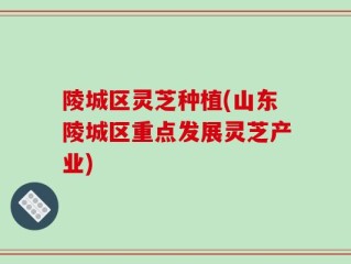 陵城区灵芝种植(山东陵城区重点发展灵芝产业)