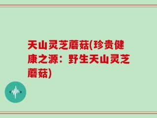 天山灵芝蘑菇(珍贵健康之源：野生天山灵芝蘑菇)
