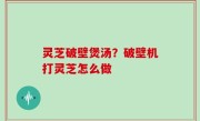 灵芝破壁煲汤？破壁机打灵芝怎么做