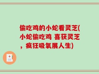 偷吃鸡的小蛇看灵芝(小蛇偷吃鸡 喜获灵芝，疯狂吸氧展人生)