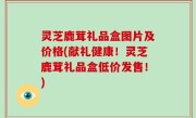 灵芝鹿茸礼品盒图片及价格(献礼健康！灵芝鹿茸礼品盒低价发售！)