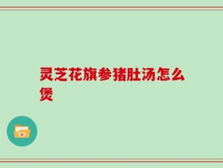 灵芝花旗参猪肚汤怎么煲