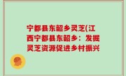宁都县东韶乡灵芝(江西宁都县东韶乡：发掘灵芝资源促进乡村振兴