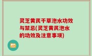 灵芝黄芪干草泡水功效与禁忌(灵芝黄芪泡水的功效及注意事项)