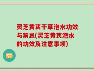 灵芝黄芪干草泡水功效与禁忌(灵芝黄芪泡水的功效及注意事项)