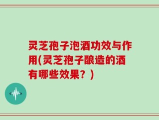 灵芝孢子泡酒功效与作用(灵芝孢子酿造的酒有哪些效果？)