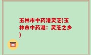 玉林市中药港灵芝(玉林市中药港：灵芝之乡)
