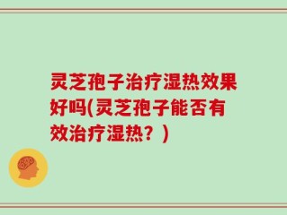 灵芝孢子治疗湿热效果好吗(灵芝孢子能否有效治疗湿热？)