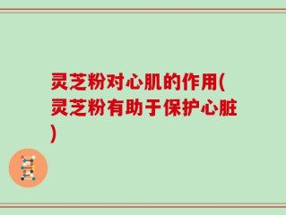 灵芝粉对心肌的作用(灵芝粉有助于保护心脏)