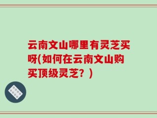 云南文山哪里有灵芝买呀(如何在云南文山购买顶级灵芝？)