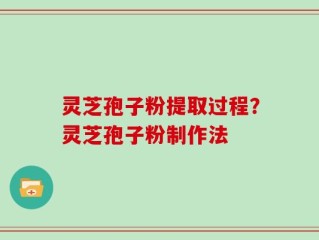 灵芝孢子粉提取过程？灵芝孢子粉制作法