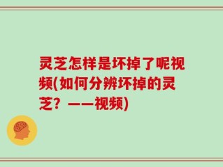 灵芝怎样是坏掉了呢视频(如何分辨坏掉的灵芝？——视频)