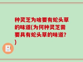 种灵芝为啥要有蛇头草的味道(为何种灵芝需要具有蛇头草的味道？)