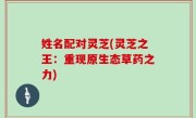 姓名配对灵芝(灵芝之王：重现原生态草药之力)