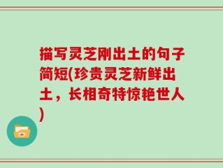 描写灵芝刚出土的句子简短(珍贵灵芝新鲜出土，长相奇特惊艳世人)
