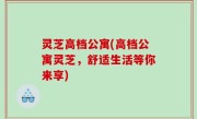灵芝高档公寓(高档公寓灵芝，舒适生活等你来享)