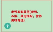 老鸭石斛灵芝(老鸭、石斛、灵芝搭配，营养美味奇佳)