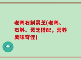 老鸭石斛灵芝(老鸭、石斛、灵芝搭配，营养美味奇佳)