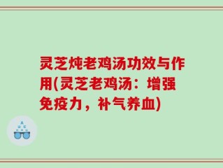 灵芝炖老鸡汤功效与作用(灵芝老鸡汤：增强免疫力，补气养血)