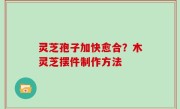 灵芝孢子加快愈合？木灵芝摆件制作方法