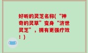 好听的灵芝名称(“神奇的灵草”变身“济世灵芝”，拥有更强疗效！)