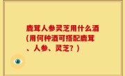 鹿茸人参灵芝用什么酒(用何种酒可搭配鹿茸、人参、灵芝？)