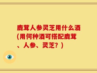 鹿茸人参灵芝用什么酒(用何种酒可搭配鹿茸、人参、灵芝？)