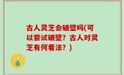 古人灵芝会破壁吗(可以尝试破壁？古人对灵芝有何看法？)