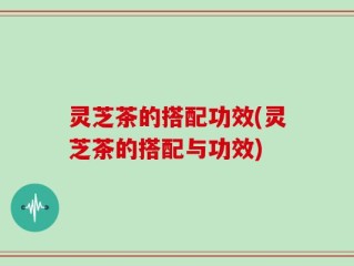 灵芝茶的搭配功效(灵芝茶的搭配与功效)
