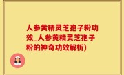人参黄精灵芝孢子粉功效_人参黄精灵芝孢子粉的神奇功效解析)