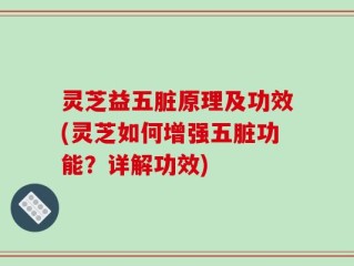 灵芝益五脏原理及功效(灵芝如何增强五脏功能？详解功效)