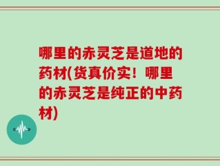 哪里的赤灵芝是道地的药材(货真价实！哪里的赤灵芝是纯正的中药材)