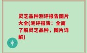 灵芝品种测评报告图片大全(测评报告：全面了解灵芝品种，图片详解)