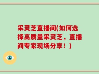 采灵芝直播间(如何选择高质量采灵芝，直播间专家现场分享！)