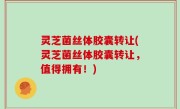 灵芝菌丝体胶囊转让(灵芝菌丝体胶囊转让，值得拥有！)