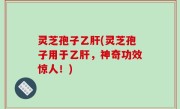 灵芝孢子乙肝(灵芝孢子用于乙肝，神奇功效惊人！)