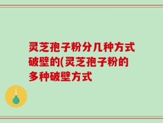 灵芝孢子粉分几种方式破壁的(灵芝孢子粉的多种破壁方式
