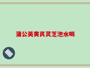 蒲公英黄芪灵芝泡水喝