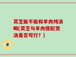 灵芝能不能和羊肉炖汤喝(灵芝与羊肉搭配煲汤是否可行？)