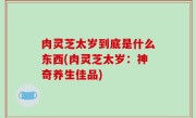 肉灵芝太岁到底是什么东西(肉灵芝太岁：神奇养生佳品)