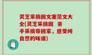 灵芝采摘园文案范文大全(灵芝采摘园  亲手采摘带回家，感受纯自然的味道)