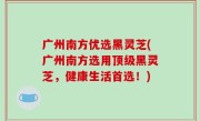 广州南方优选黑灵芝(广州南方选用顶级黑灵芝，健康生活首选！)
