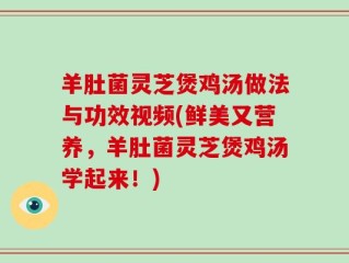 羊肚菌灵芝煲鸡汤做法与功效视频(鲜美又营养，羊肚菌灵芝煲鸡汤学起来！)