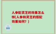 人参配灵芝的效果怎么样(人参和灵芝的搭配效果如何？)