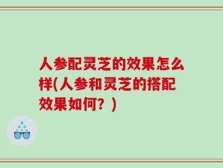 人参配灵芝的效果怎么样(人参和灵芝的搭配效果如何？)