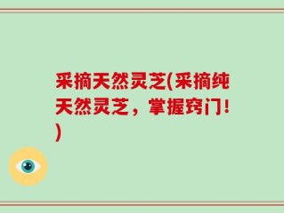 采摘天然灵芝(采摘纯天然灵芝，掌握窍门！)